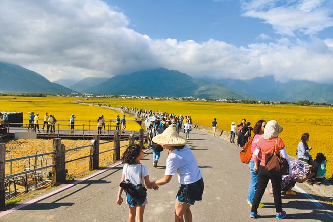 春节连假期间台东县旅游人次，以池上乡伯朗大道居冠。（庄哲权摄）