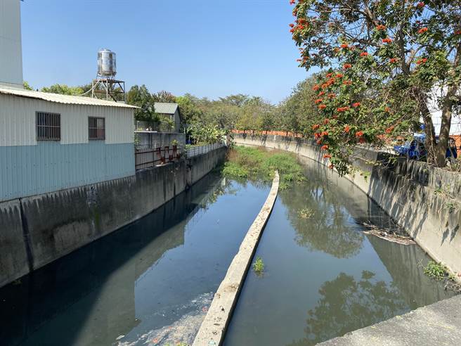 六脚大排新港段水质不佳，飘出阵阵恶臭。（张亦惠摄）