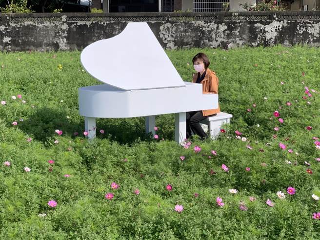 广福花海今年还有白色钢琴及风车等装置艺术，值得忙碌的都会区工商人，把握元宵「小过年」假期前往体验不一样的都会风情。（市议员陈淑华提供）