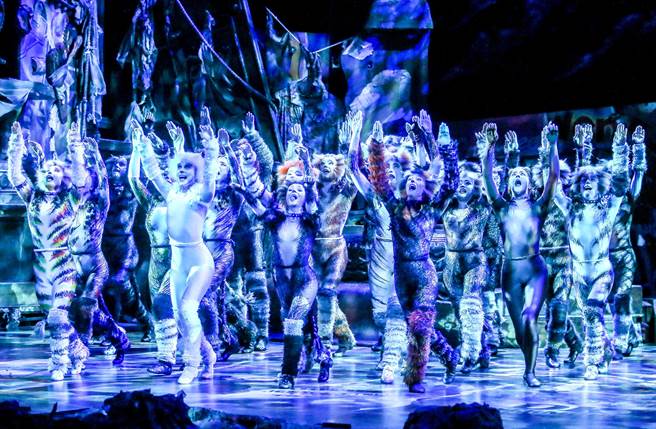 《猫》10日进行总彩排。（粘耿豪提供）