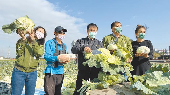 台南市長黃偉哲（右三）體恤農民辛苦，透過民進黨台南市黨部號召認購5000顆高麗菜，轉送社福團體及弱勢家戶。（張毓翎攝）