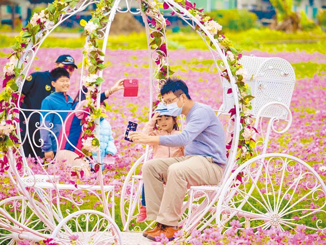 今年美浓花海的创意主题特色装置艺术并结合美浓地景，让游客从早玩到晚都不无聊，成功吸引游客前来赏花，创下疫情来最高峰人潮。（林雅惠摄）