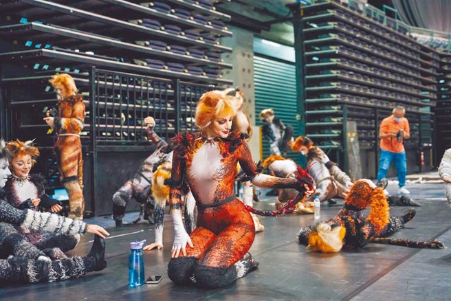 百老匯音乐剧《猫》今起将于台北小巨蛋开演。（宽宏艺术提供）