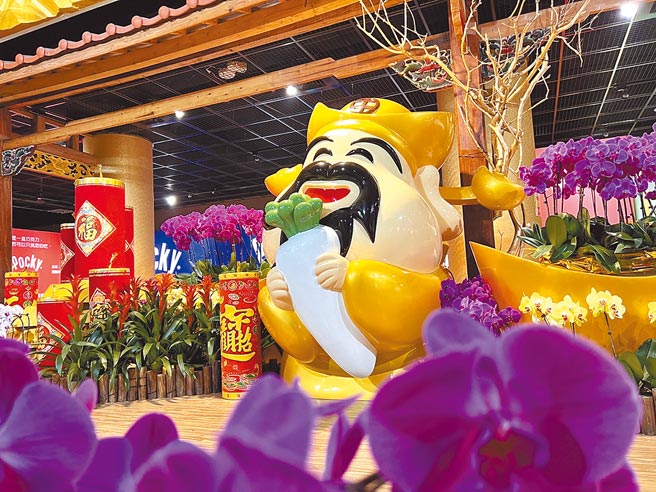 剑湖山博物馆的迎春开运蝶兰展，吸引民眾的目光。（剑湖山世界提供）