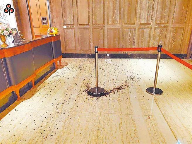 吴安永等人去年5月间到鉅星匯国际宴会厅泼撒上千只蟑螂讨债，遭依妨害秩序、恐吓等罪起诉。（本报资料照片）