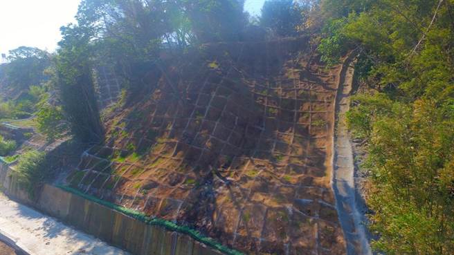 復建工程新建型框掛網植生，邊坡土石逐漸已恢復穩定。（台中市水利局提供／王文吉台中傳真）