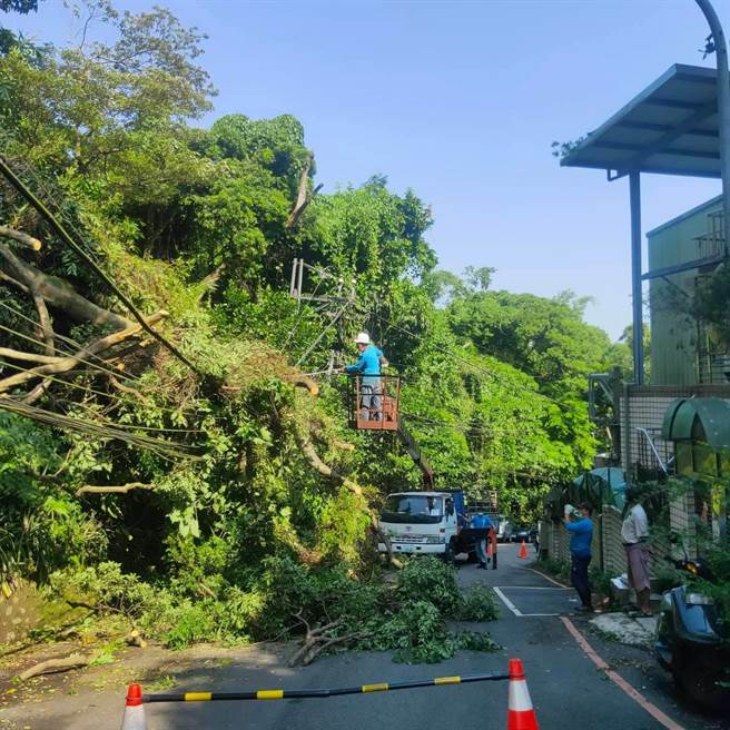 新北市土城區永豐路255巷因臨近山區邊坡，每逢大雨或地震就會傳出落石或樹木倒塌意外，不僅壓毀停在路旁的轎車，也阻斷路上140戶居民的唯一出入口，當地里長、新工處等單位多次會勘後，將在沿路設置擋土牆，預計5月份完工。（李月嬌提供）