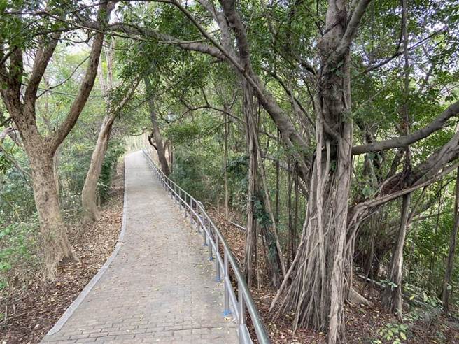 高雄保安宮一處山坡後方發現一具頭骨。（翻攝照片／高雄洪靖宜傳真）