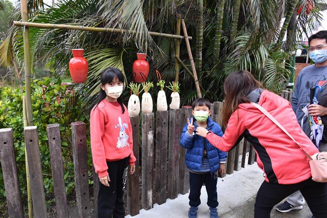 头份市芦竹湳好菜头艺术祭12日登场，小朋友最感兴趣的菜头灯。（谢明俊摄）