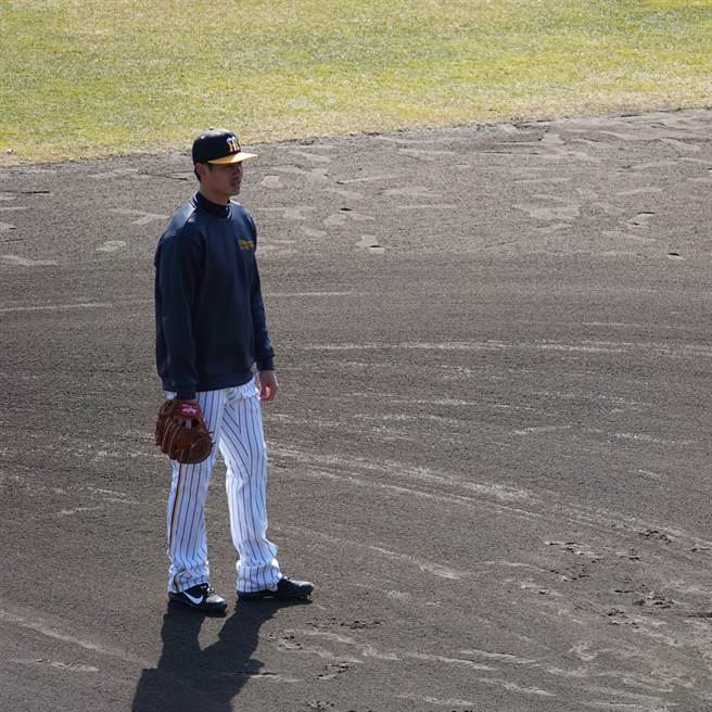 效力阪神虎队的台湾左投陈伟殷。（撷取自陈伟殷脸书粉丝团）