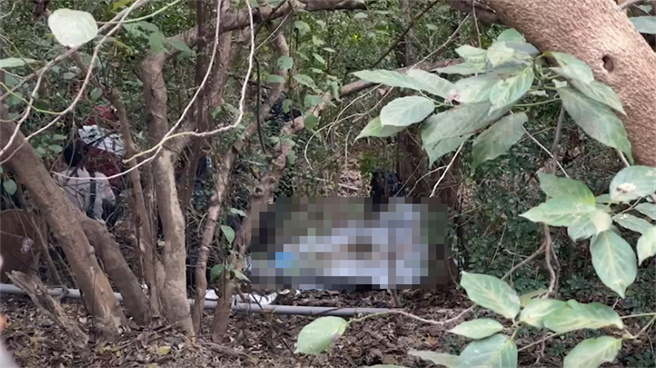 保安宮公廁後方山坡地被發現有一具人頭骨。（翻攝照片／高雄洪靖宜傳真）