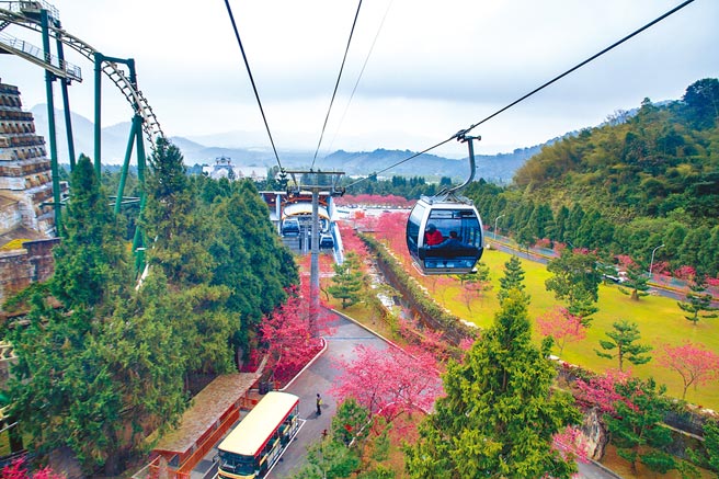 「九族文化村」每年2月都有近5000棵櫻花盛開，是一大知名賞花景點。（易遊網提供）