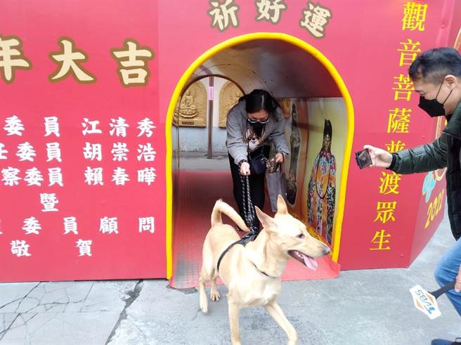 民眾带着自家宠物钻平安桥，祈求新的一年饲主宠物都能平安好运。（新北市动保处提供）