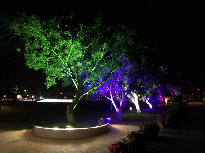 莒光湖畔的火树银花光景，让人赏心悦目。（李金生摄）