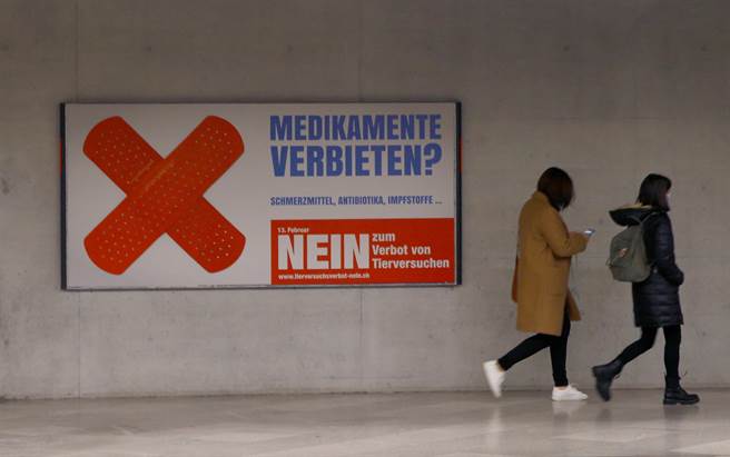 政府的数据显示，2020年有超过50万只动物在瑞士的实验室中丧命。支持禁止动物试验的人士表示，动物试验有道德瑕疵，且是不必要的。(图／路透社)