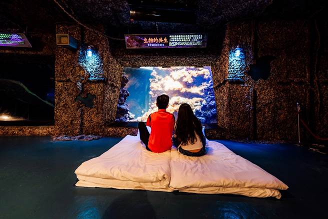 屏东海生馆推难忘蓝色情人节，甜蜜应景夜宿海生馆。（谢佳潾摄）