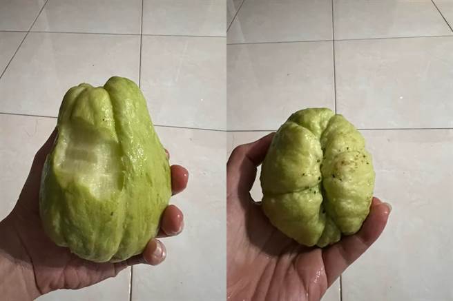 有網友誤把佛手瓜當芭樂啃食，直呼味道有菜味。（翻攝臉書社團《爆廢公社》）