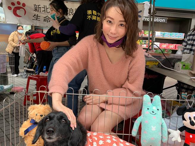陳映璇關心流浪動物擔任公益天使。（陳孝志提供）