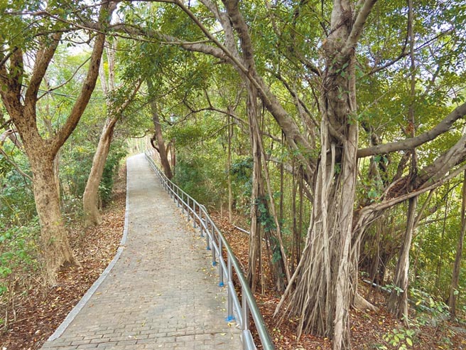 高雄市著名廟宇保安宮後方山坡，被民眾發現一具已經化成白骨的屍體，警方獲報派鑑識小組和報請檢察官指揮偵辦。（翻攝照片／洪靖宜高雄傳真）