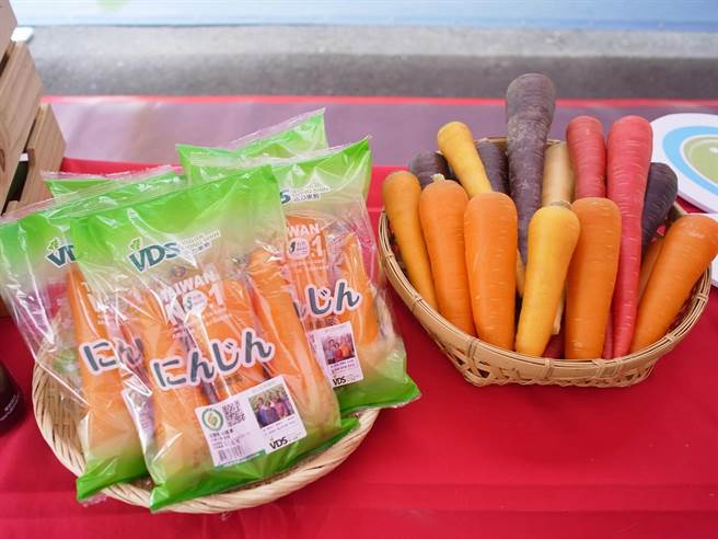 雲林縣東勢鄉胡蘿蔔產量全台第1，推出「國際台灣胡蘿蔔日」行銷品牌。（張朝欣攝）