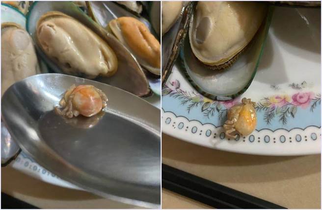 网友惊恐表示咬到多脚诡异生物，立刻呕吐并向商家投诉，网友解释全世界最小的螃蟹「豆蟹」。（翻摄脸书《爆料公社(官方粉专专属)》）