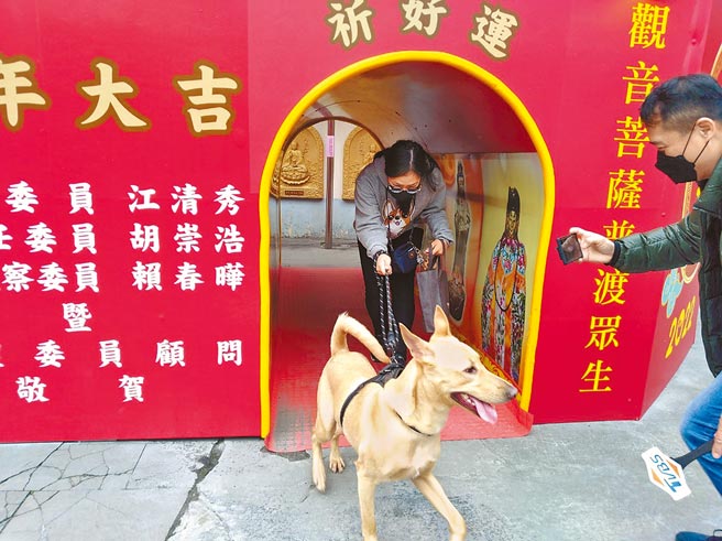 民眾带着自家宠物钻平安桥，祈求新的一年饲主宠物都能平安好运。（新北市动保处提供／陈慰慈新北传真）