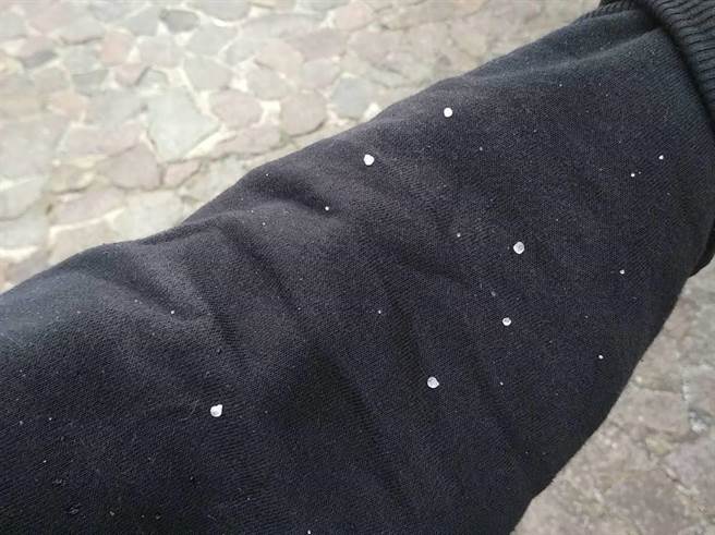 15日中午左右，合欢山竟下起短暂兵霰夹带冰雨、还有小颗的冰雹，让追雪民眾相当兴奋拿起手机拍下。(翻摄台湾追雪团／吴建辉南投传真)