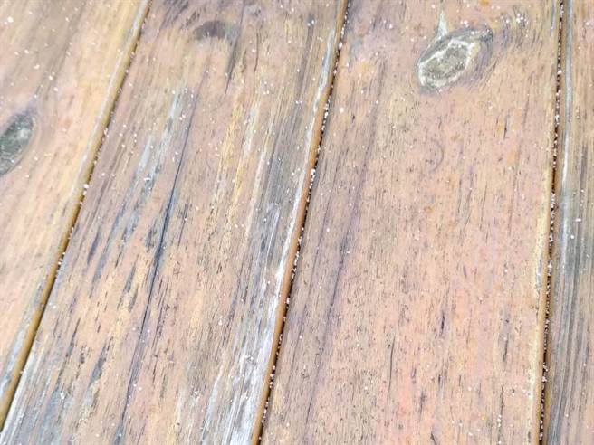 15日中午约11点左右，南投合欢山竟然下起「冰雨」，包括冰霰中掺杂一点冰珠、冰雹，持续约20分钟左右。(翻摄台湾追雪团／吴建辉南投传真)