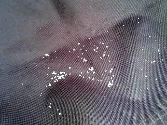 主要是因为刚好11点左右有少量水气移入高山上空，因此才降下这场短暂的冰雨，冰珠有大有小，大颗的好比小颗粉圆，小颗的又比米粒小。(翻摄台湾追雪团／吴建辉南投传真)