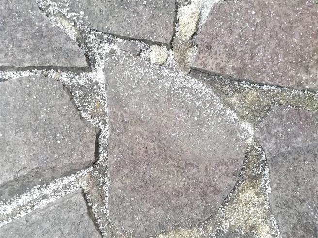 合欢山因为气温维持在零度以上，儘管入夜以后气温直降零下3度，但因为水气不足迟迟未降雪。(翻摄台湾追雪团／吴建辉南投传真)