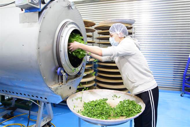 农产品初级加工场登记新制2020年上路来，全台有26家业者取得登记证，其中新北市业者登记数量占全台县市之冠，有4家登记在案。不过，去年仅有一家业者申请获证。图为全台首家获得登记证的谷芳有机茶园。（谷芳有机茶园提供）