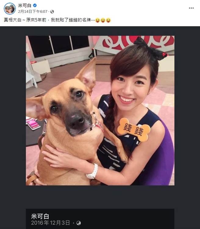 米可白5年前别上爱犬「钱钱」的名牌。（图／FB@米可白）