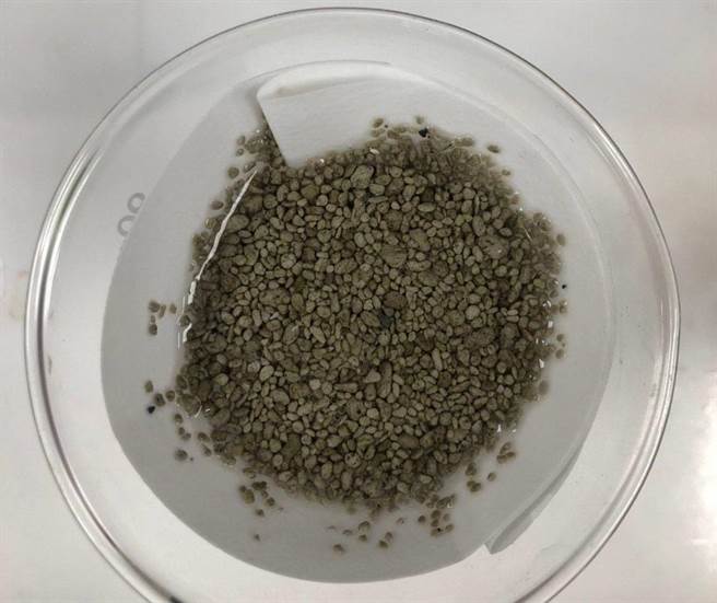 海洋委员会等单位监控日本小笠原群岛海底火山爆发而产生的火山浮石跨国漂流事件，至今年2月15日止，已经连续21日没有新发现火山浮石地点。图为浮石理化特性检测情形。（台中农业试验改良场提供／林瑞益高雄传真）