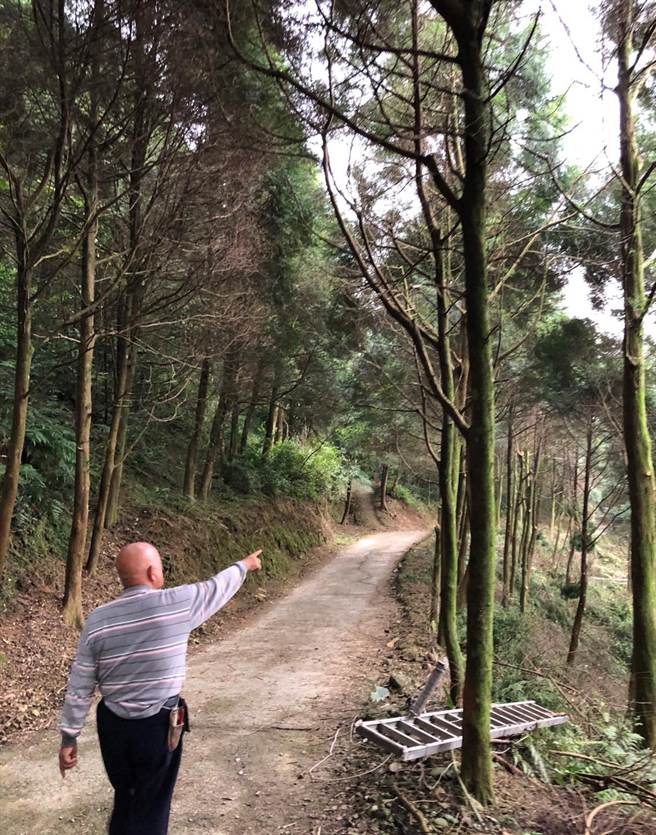 陳錫江森林撫育的日常。（林試所提供）