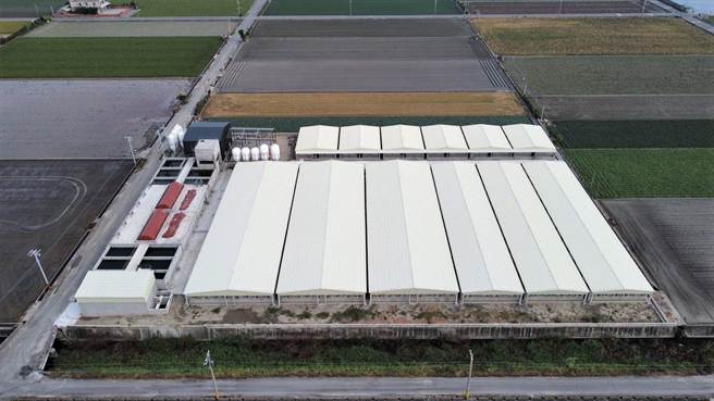 彰化縣養豬戶，導入新式密閉水簾及高床設備、提升廢水處理設備及購置自動化省工設備，農委會評定全國第一。（彰化縣政府提供／吳敏菁彰化傳真）