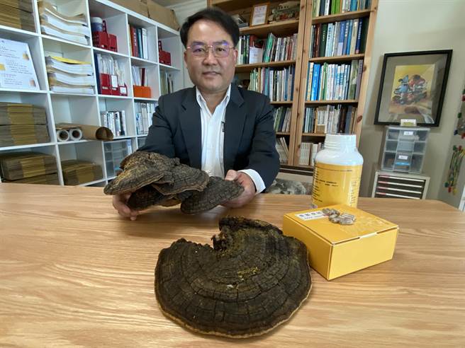 从事真菌研究30年的吴声华，去年退休后投身健康产业，希望把可做为全方位健康照护的桑黄能更生活化运用。（冯惠宜摄）