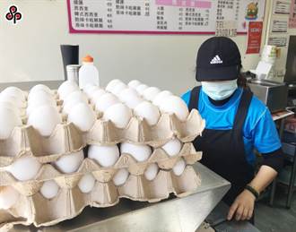專案輸入緩蛋荒 日本「這9縣以外區域」雞蛋可輸入