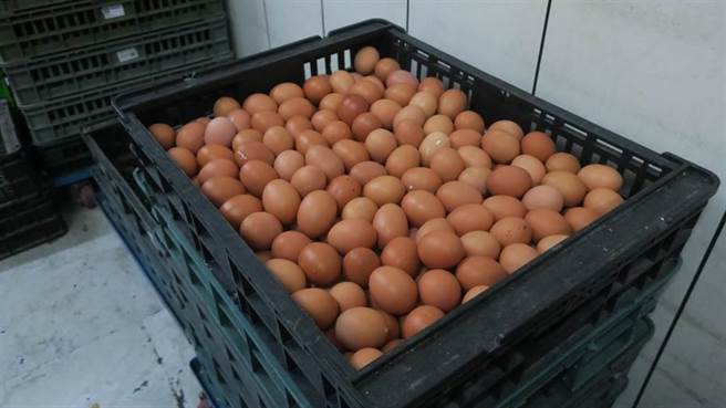 农委会将从日本进口鸡蛋，希望能决蛋荒问题。（资料照／谢琼云摄）