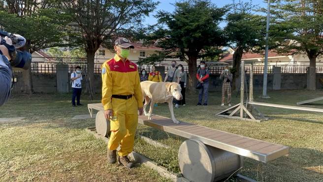 搜救犬训练过程。（洪靖宜摄）