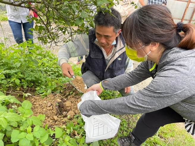 现场採样土壤带回化验，分析农民柑橘生病的原因。（陈信文提供／张亦惠嘉县传真）