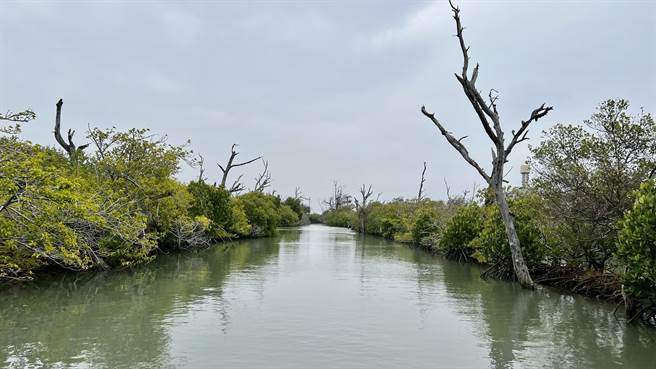 台南北门双春滨海游憩区南侧木栈道延伸段，预计今年4月完工，引领游客亲近「滨海版水漾森林」更便捷。（张毓翎摄）