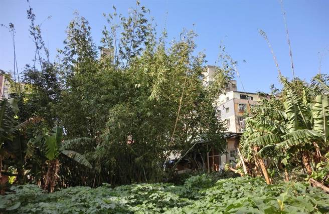 北投「福德爷」1.5亿标出。（北市地政局提供／杨亚璇台北报导）