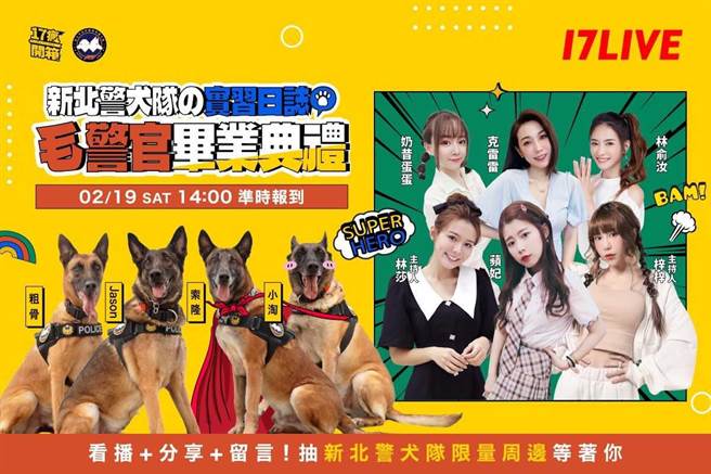 新北警犬队x17疯开箱，揭密警犬超强侦查训练日常。（17LIVE提供）