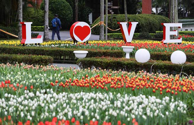 2022士林官邸郁金香展从「春天、喜悦、幸福、情感」概念出发，营造春季赏郁金香花海的浪漫氛围，带着大家感受郁金香花海的浪漫，是台北都会区赏花休憩的绝佳去处，展场也在情人节推出应景的装置艺术。（季志翔摄）