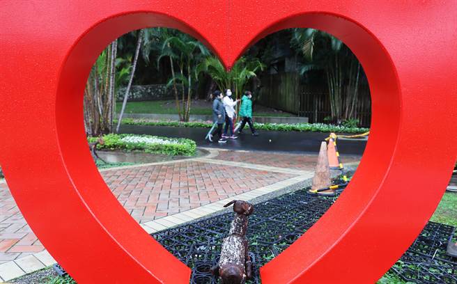 2022士林官邸郁金香展从「春天、喜悦、幸福、情感」概念出发，营造春季赏郁金香花海的浪漫氛围，带着大家感受郁金香花海的浪漫，是台北都会区赏花休憩的绝佳去处，展场也在情人节推出应景的装置艺术。（季志翔摄）