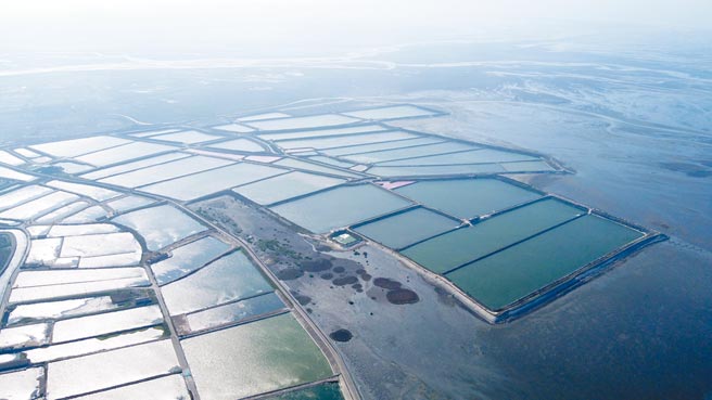 彰化大城及芳苑溼地是全台最完整、面积最大的溼地潮间带，宽度达5公里以上，业者已决议停止海堤外光电厂开发。（彰化县环保联盟提供／吴敏菁彰化传真）