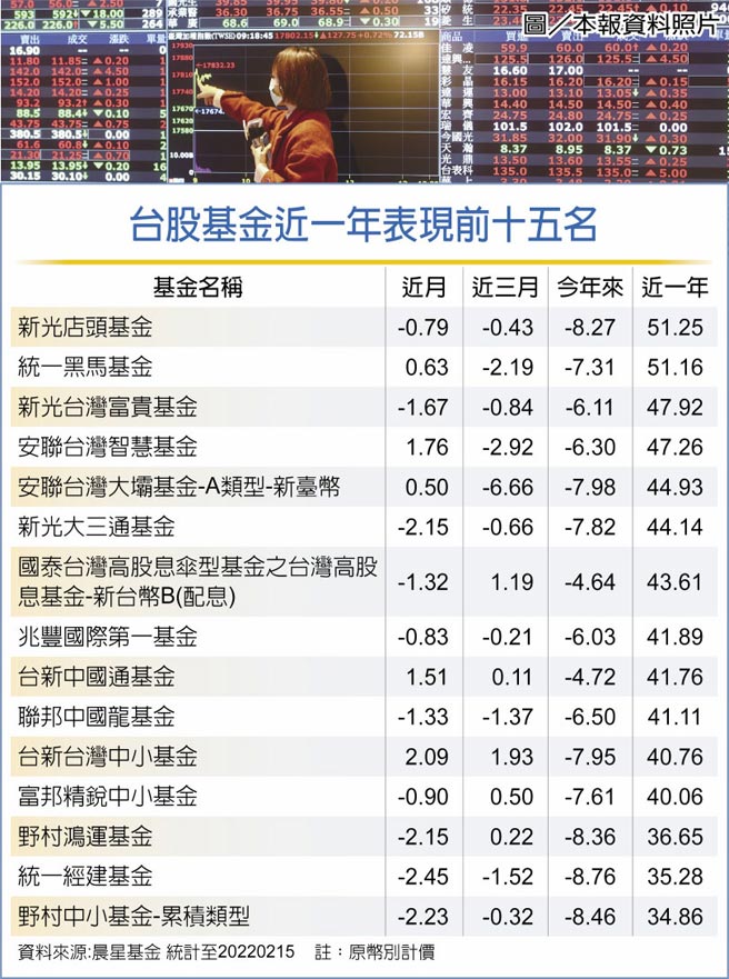 台股基金近一年表現前十五名