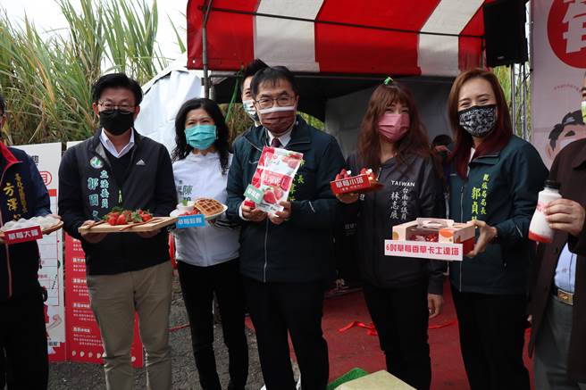 台南善化草莓季活动即将于2月26日至3月25日展开，在地5家业者推出採果8折优惠，台南市长黄伟哲18日特别到善化草莓园採草莓，为活动宣传。（刘秀芬摄）