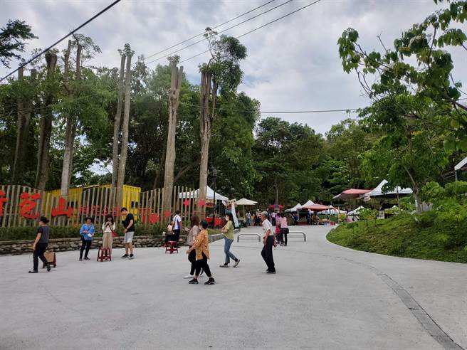 云林县府文化观光处去年12月起现场表演并录制「流动艺术飨宴—云林三部曲」音乐剧，明天（19日）下午3点将于古坑乡荷苞村149甲线旁桐花公园登场，演绎云林古坑人柯铁虎参与的「铁国山事件」传奇，图为桐花公园。（本报资料照片）