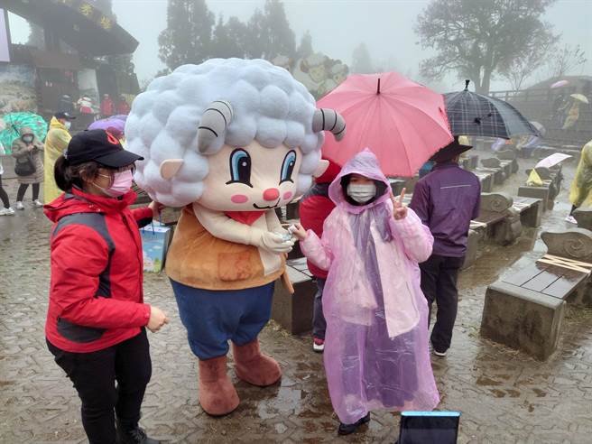 最热闹的最受民眾喜爱的「羊咩咩逛大街」，因开放空间难以实联制，而取消办理，但仍能与绵羊近距离互动，还有十鼓击院团精彩的演出，剪羊毛秀。（清境农场提供／吴建辉南投传真）